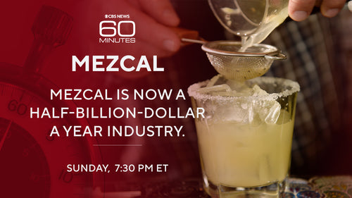 Summary of the 60 Minutes CNN Documentary on Mezcal